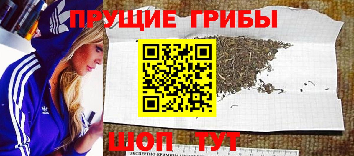 Псилоцибиновые грибы Cubensis Усть-Джегута