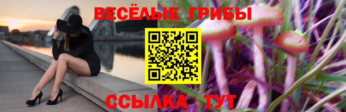 Псилоцибиновые грибы ЛСД  купить   Вход с VPN  Усть-Джегута  Псилоцибиновые грибы Psilocybine cubensis 