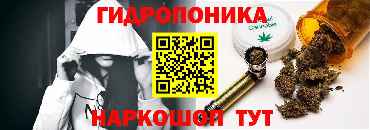Бошки марихуана план  Вход с VPN  МАРИХУАНА OG Kush  Усть-Джегута 